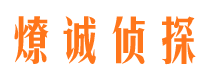 龙安市侦探公司